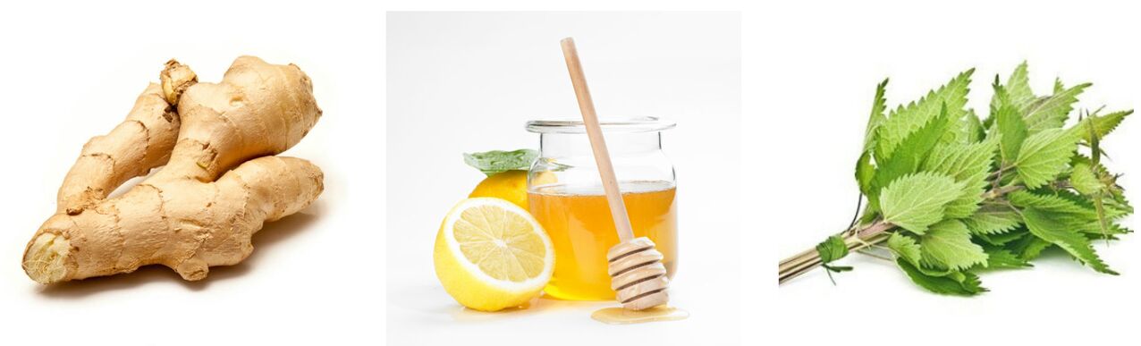 The honey nettle is a ginger