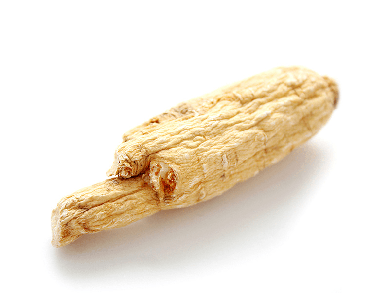 Aralia root for potency